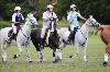 UKPA  NC Sat_1412